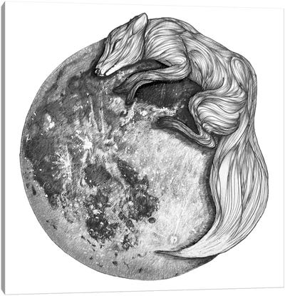 Moon Fox Canvas Art Print - Ella Mazur