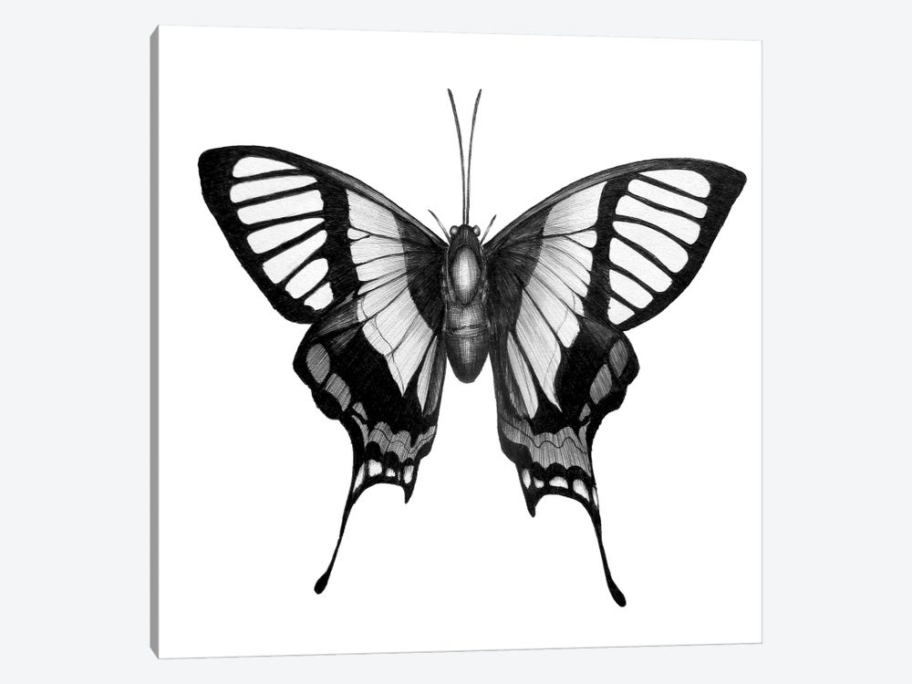 Butterfly Wings by Ella Mazur 1-piece Canvas Art