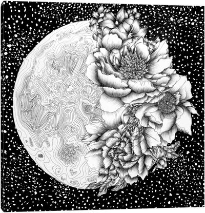 Moon Abloom Canvas Art Print - Ella Mazur