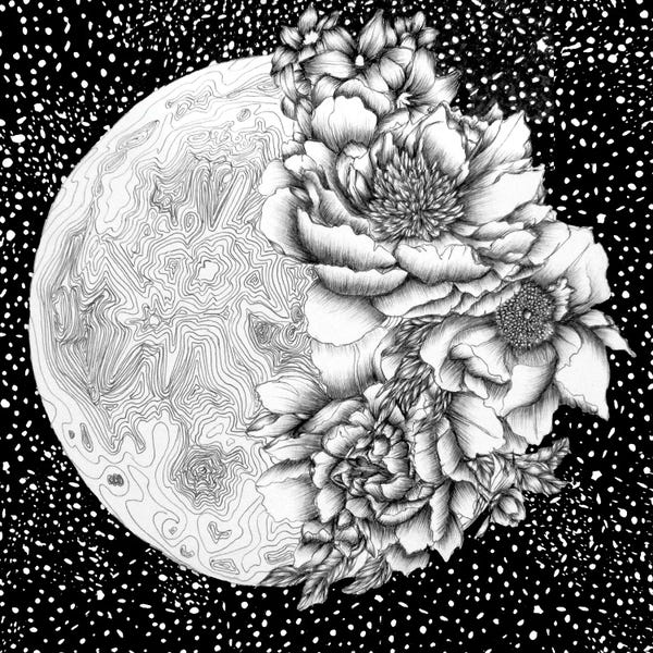 Black & White Florals: Moon Abloom by Ella Mazur