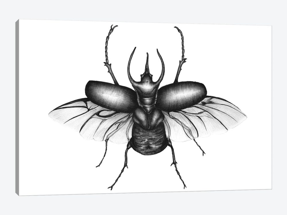 Beetle Wings by Ella Mazur 1-piece Canvas Print