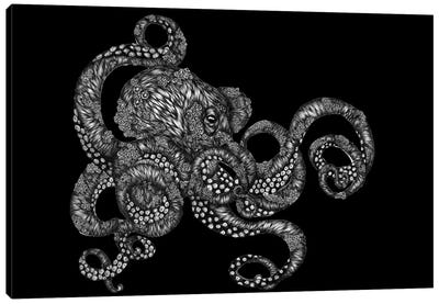 Barnacle Octopus In Black Canvas Art Print - Gray Art
