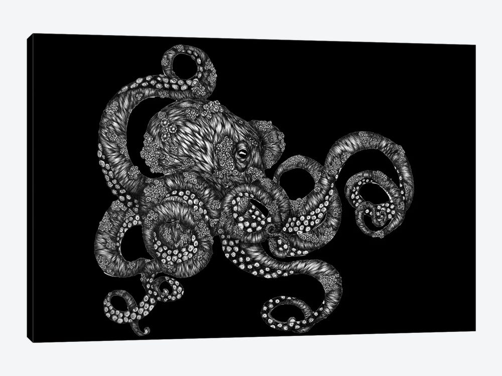 Barnacle Octopus In Black by Ella Mazur 1-piece Canvas Artwork