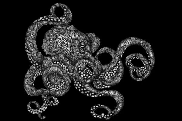 Octopi: Barnacle Octopus In Black by Ella Mazur