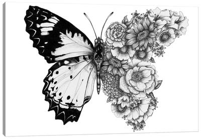 Butterfly In Bloom Canvas Art Print - Black & White Animal Art