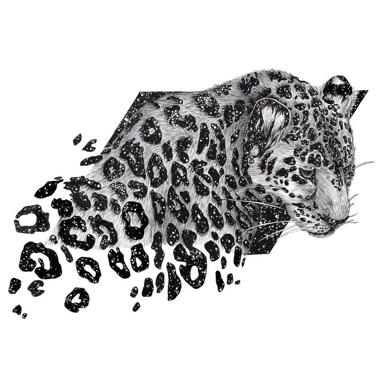 Cosmic Leopard