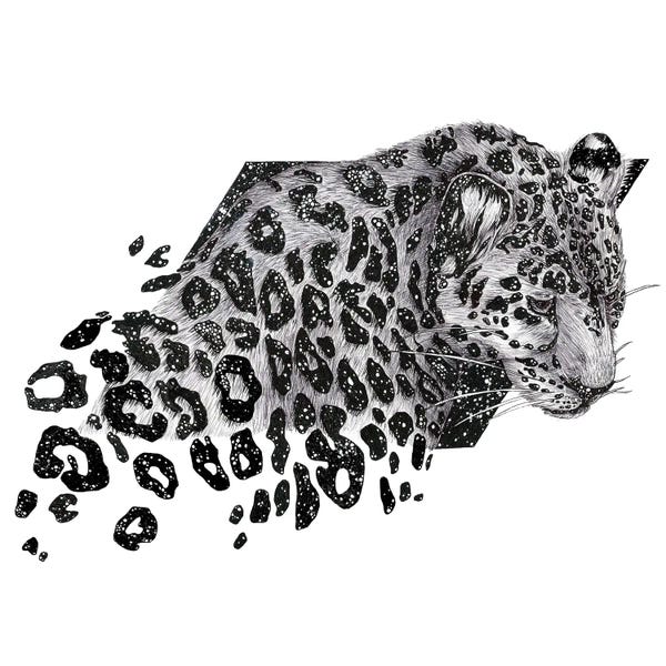 Embellished Animals: Cosmic Leopard by Ella Mazur