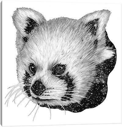 Cosmic Red Panda Canvas Art Print - Embellished Animals