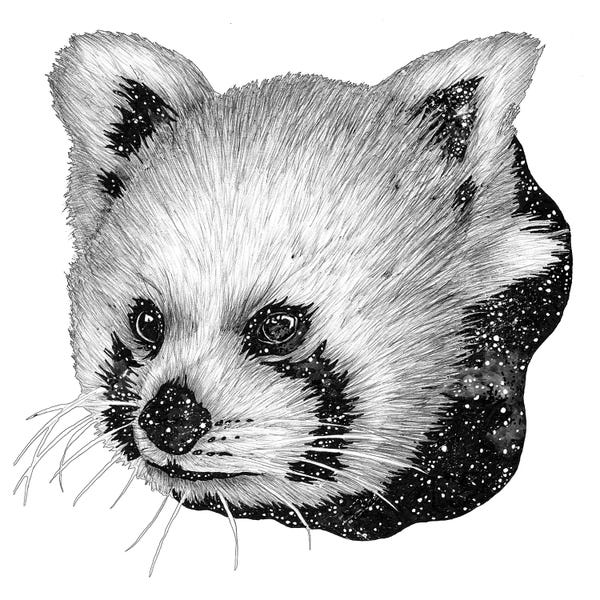 Red Pandas: Cosmic Red Panda by Ella Mazur