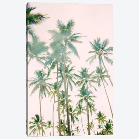 Palm Island Canvas Print #ENA101} by Emily Navas Canvas Print