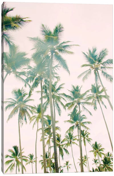 Palm Island Canvas Art Print