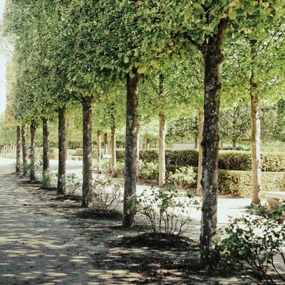 Parisian Stroll I by Emily Navas gallery poster