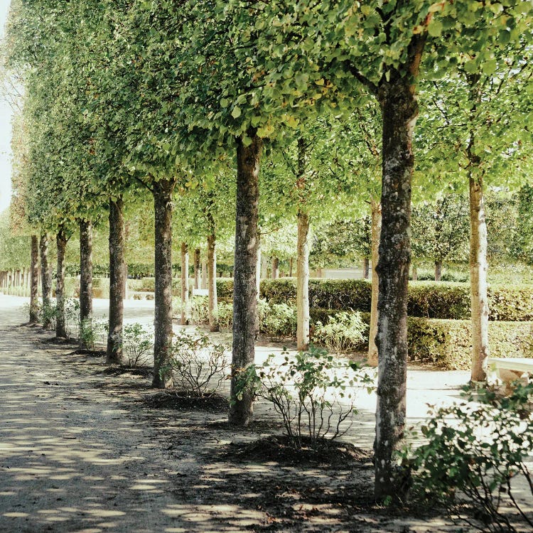 Parisian Stroll I by Emily Navas wall art