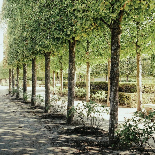 Emily Navas: Parisian Stroll I by Emily Navas