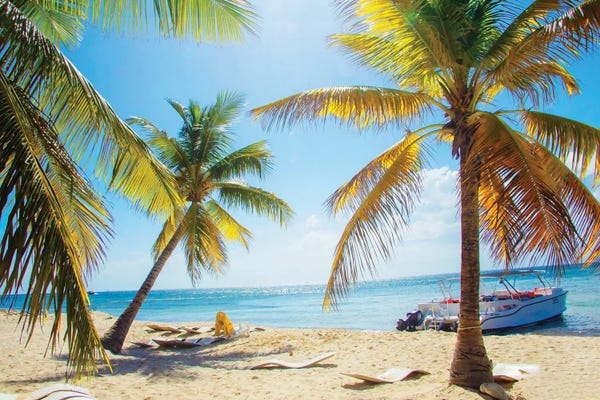 Emily Navas: Tropical Oasis by Emily Navas