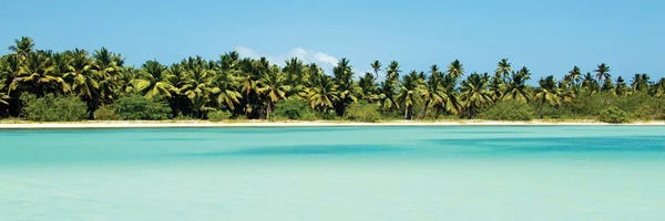 Emily Navas: Tropical Pardise by Emily Navas