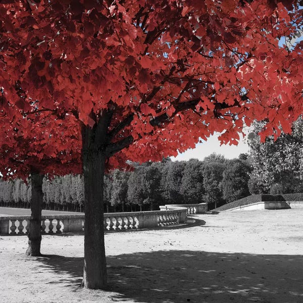 Emily Navas: Garden Walk by Emily Navas