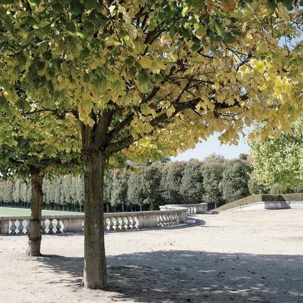 Emily Navas: Parisian Stroll III by Emily Navas