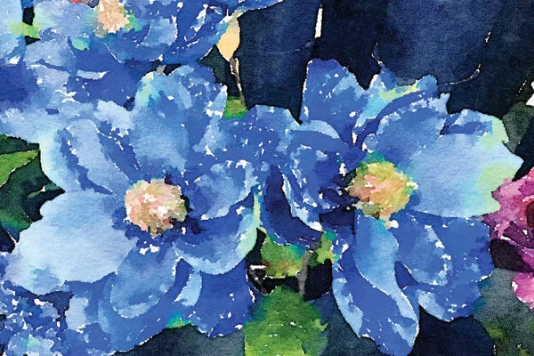 Emily Navas: Popping Blues by Emily Navas