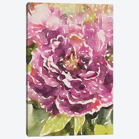Purple Blossoms Canvas Print #ENA43} by Emily Navas Art Print