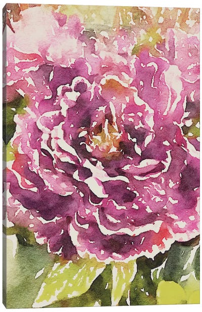Purple Blossoms Canvas Art Print