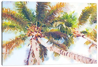Sideway Watercolor Palms II Canvas Art Print
