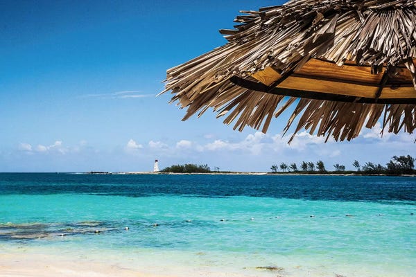 Emily Navas: Under The Shade by Emily Navas