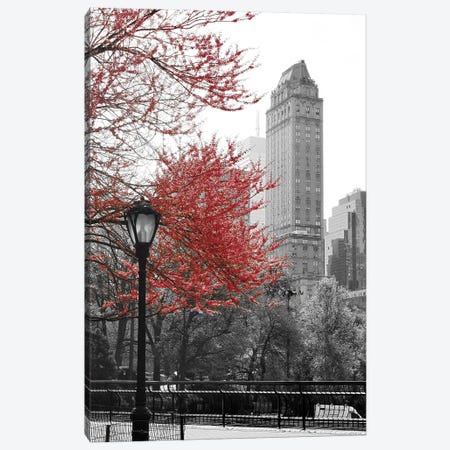Central Park with Red Tree Canvas Print #ENA5} by Emily Navas Canvas Print