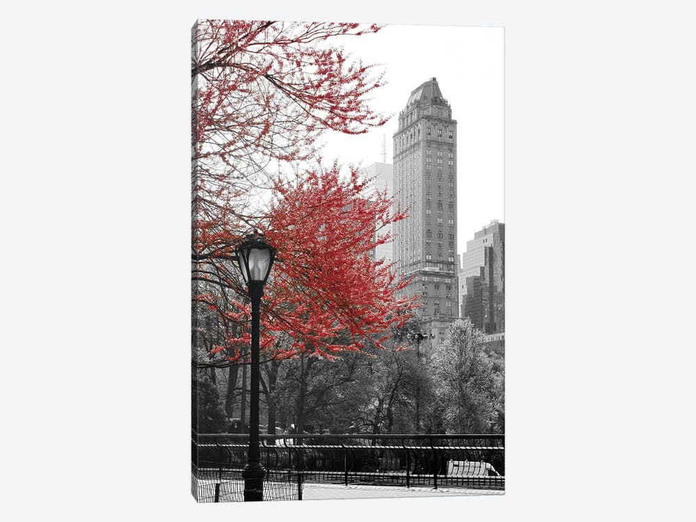 Central Park with Red Tree by Emily Navas 1-piece Canvas Wall Art