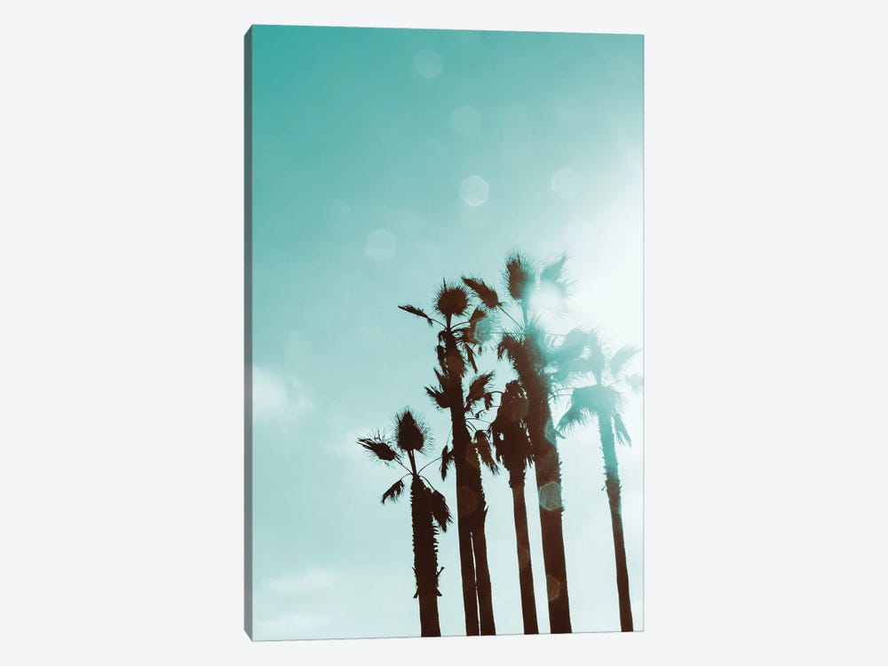 Palms In The Sun by Emily Navas 1-piece Canvas Print