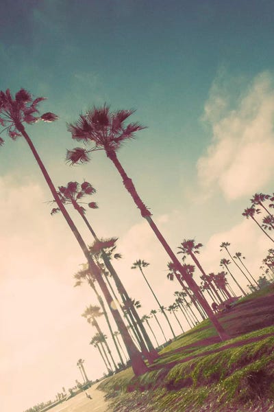 Venice Beach Fun by Emily Navas canvas print
