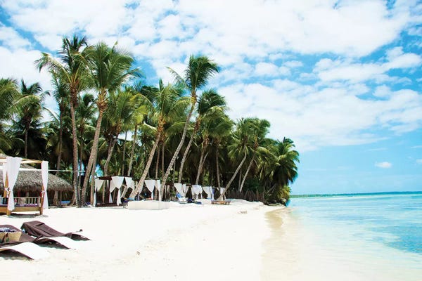 Emily Navas: Baja Breezes by Emily Navas