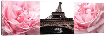 Pink Roses Eiffel Tower Canvas Art Print