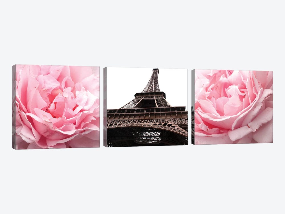 Pink Roses Eiffel Tower by Emily Navas 3-piece Canvas Print