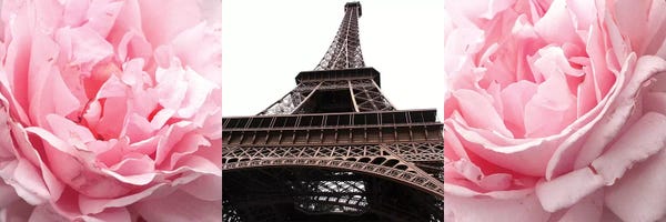 Emily Navas: Pink Roses Eiffel Tower by Emily Navas