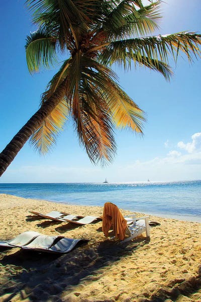 Emily Navas: Sunset Views by Emily Navas