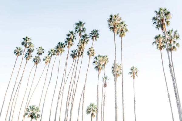 Santa Barbara: Santa Barbara Vibes by Elena Chukhlebova