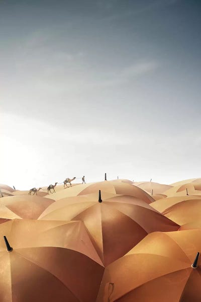 en.ps: Dryland by en.ps