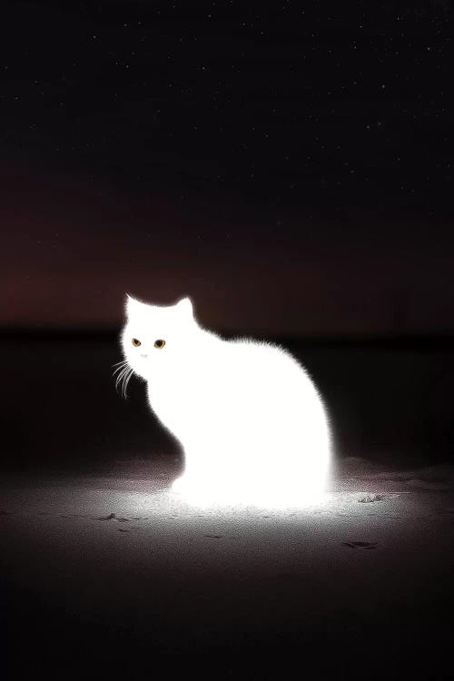 Glowing Cat