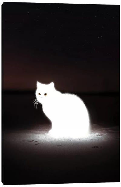 Glowing Cat Canvas Art Print