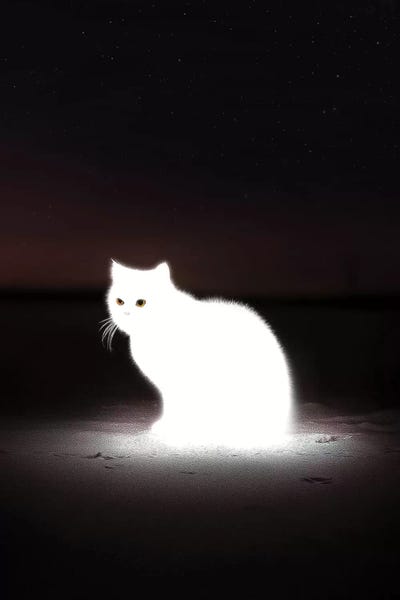 en.ps: Glowing Cat by en.ps