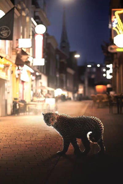 en.ps: Nightlife by en.ps