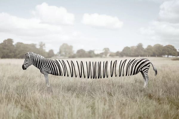 en.ps: Slinky Fella by en.ps