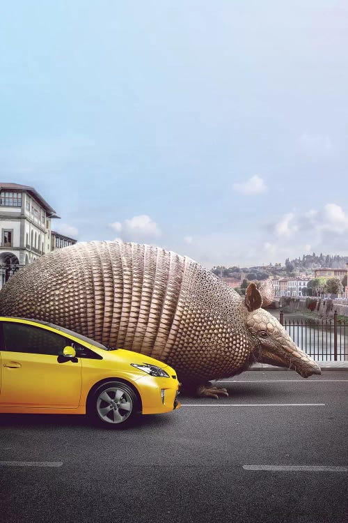 Strangers Armadillo