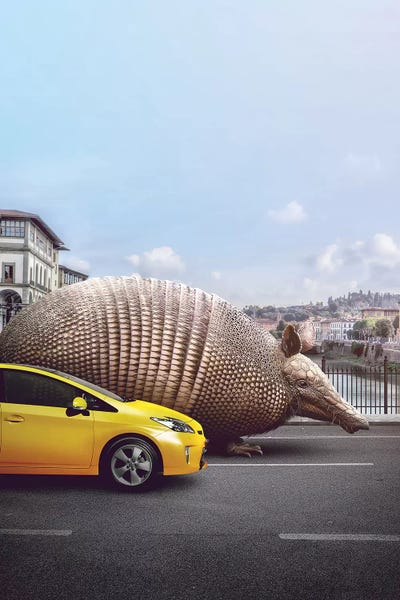 en.ps: Strangers Armadillo by en.ps