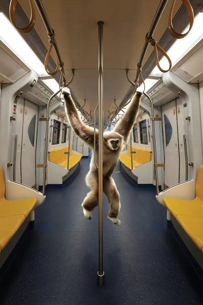 en.ps: Swinginby by en.ps