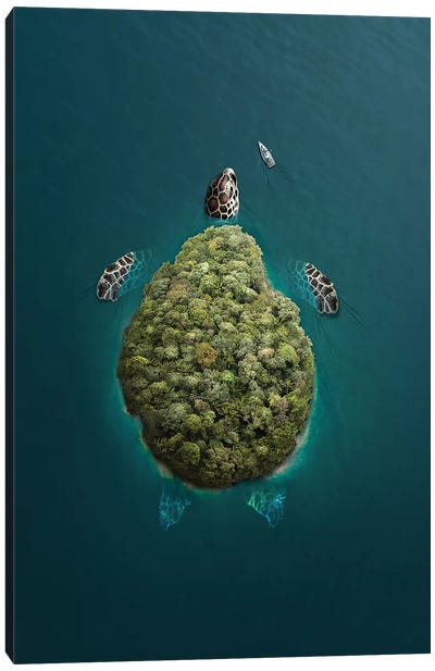 Tertua Canvas Art Print - Turtle Art