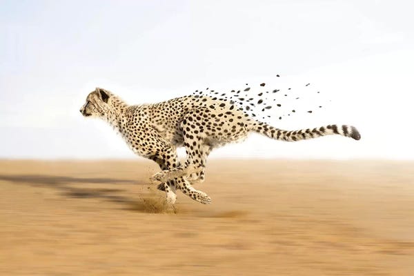 en.ps: Beyond Limits by en.ps