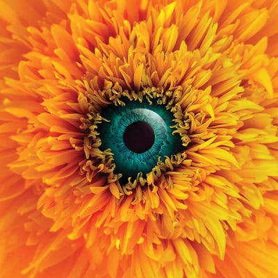 Bungamata by en.ps canvas print