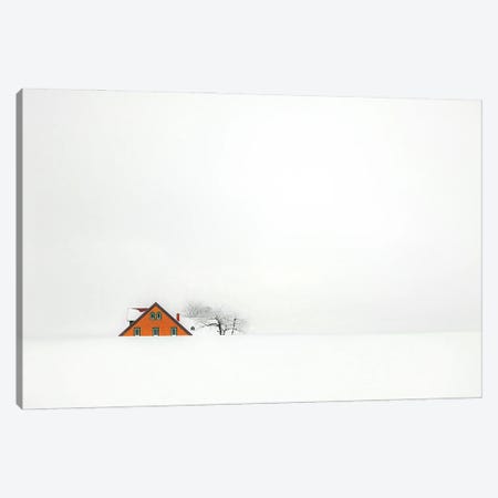 Snowbound  Canvas Print #ENR1} by Rolf Endermann Canvas Art